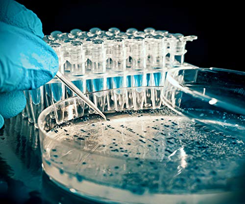 10 Пакети Стерилна Пластична Petri Јадења,100mmx15mm Транспарентен Petri Плочи со Капаци,Погоден за Експеримент, Биологија,